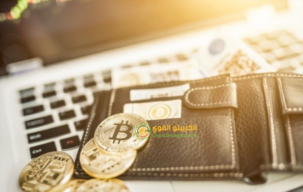 افضل محفظة للعملات الرقمية
